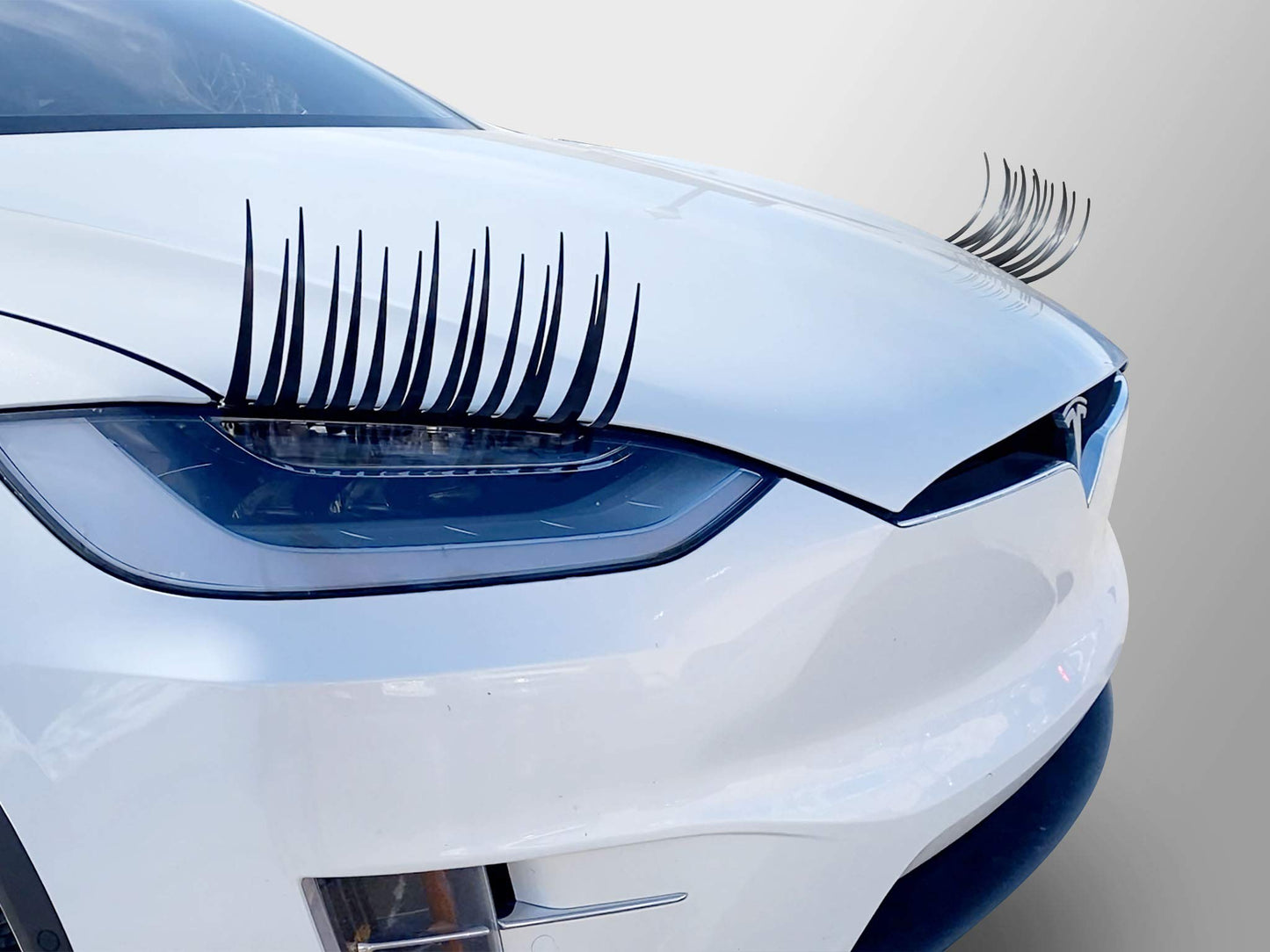 Car Lashes