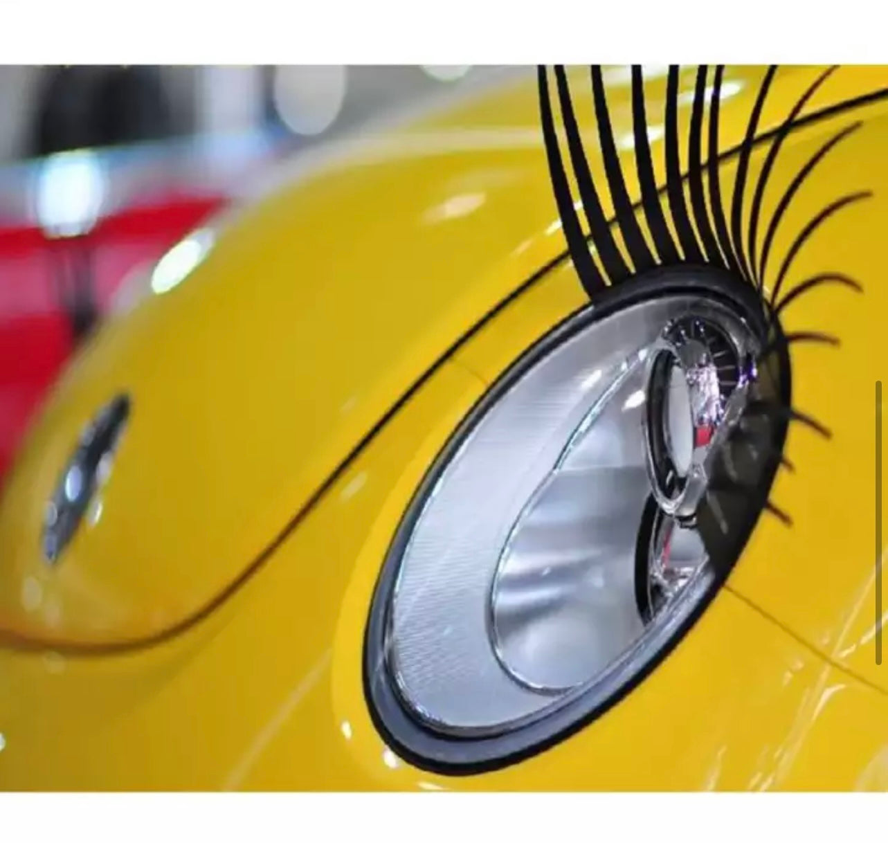 Car Lashes